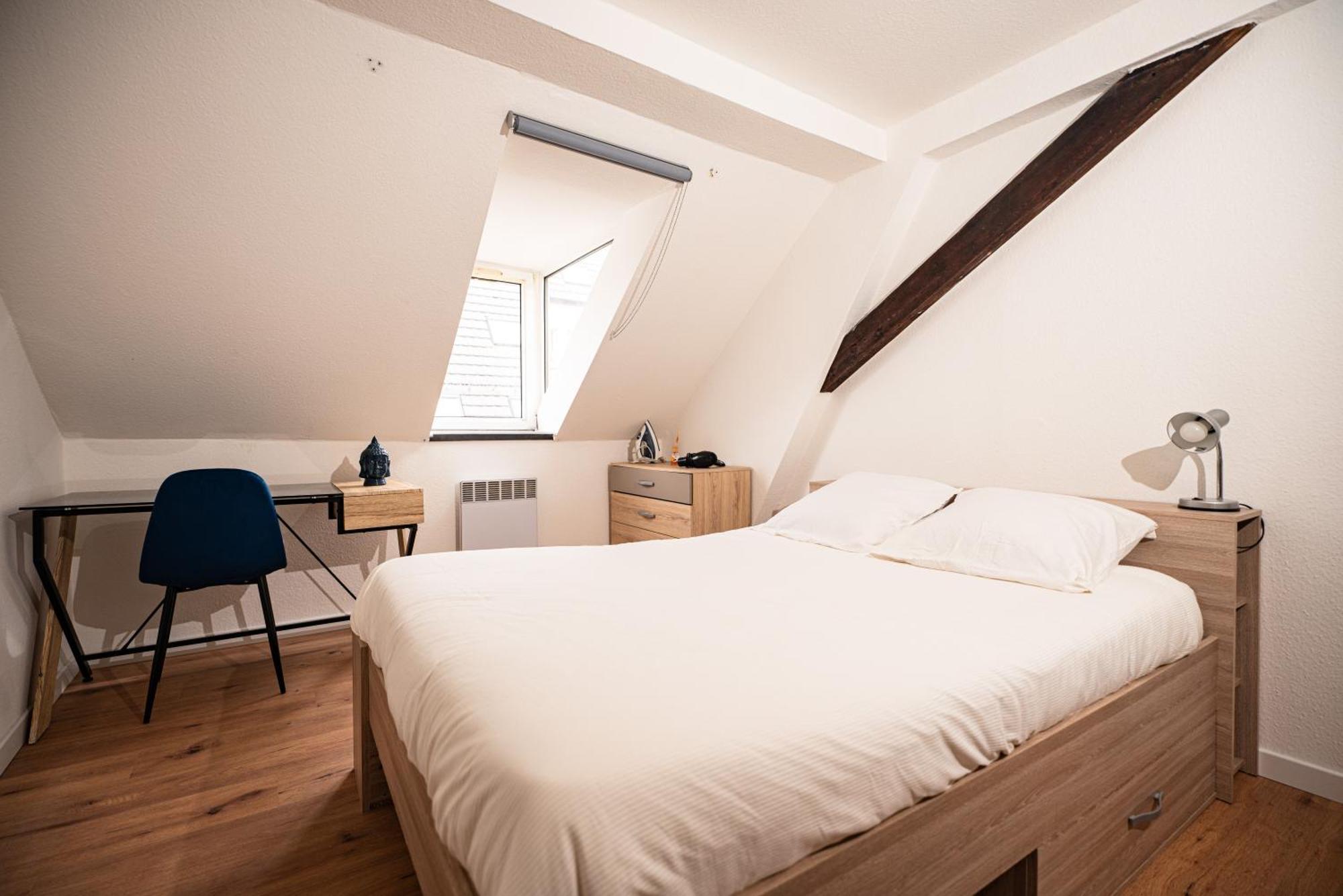 Moderne T2 Centre Sauna Wifi Home Office Netflix Strasbourg Eksteriør billede